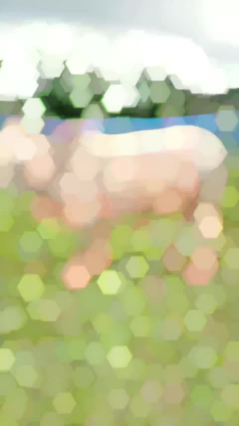 @Aynar karigor đ§đ¤