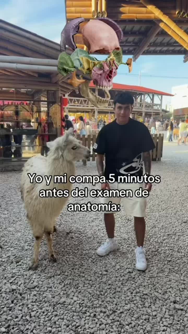 @ENDOBOY