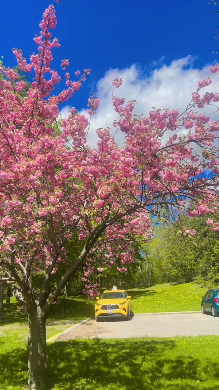 @🤗🇳🇵🇨🇦