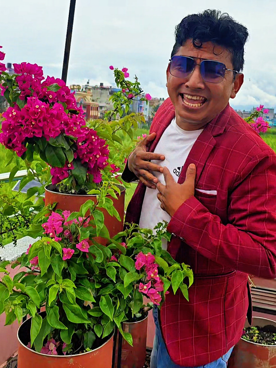 @RAJ SHRESTHA(राज श्रेष्ठ)