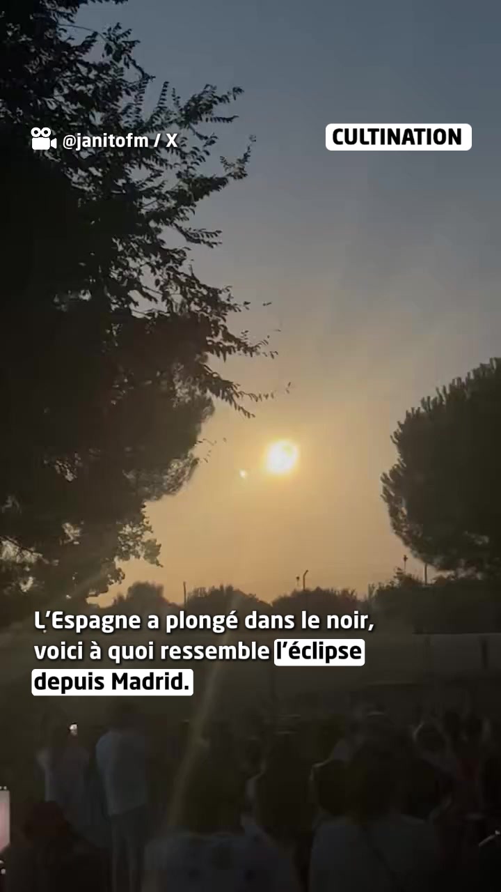 @cultination.officiel