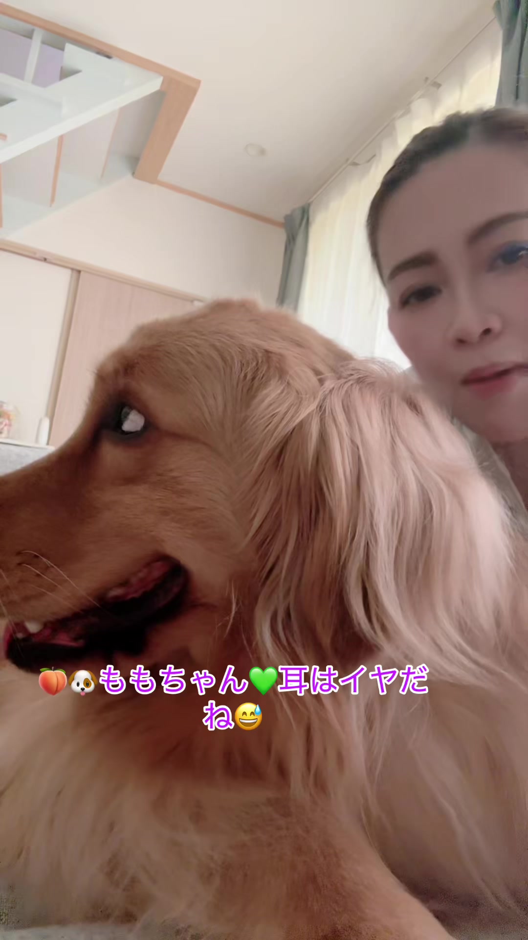 @ACIKA🇯🇵🇲🇨MOMO🍑🐶