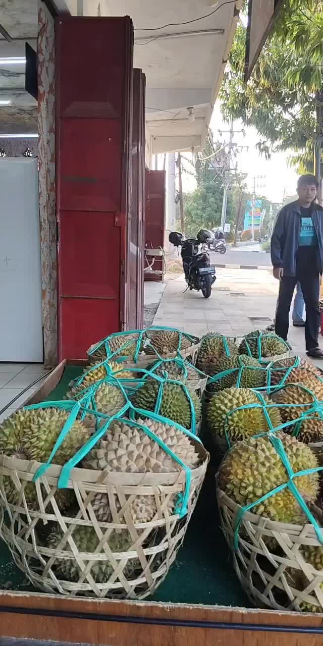 @Kenzhi Durian Tuban