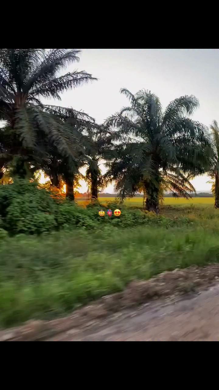 @elpanaoriente🐅🇻🇪