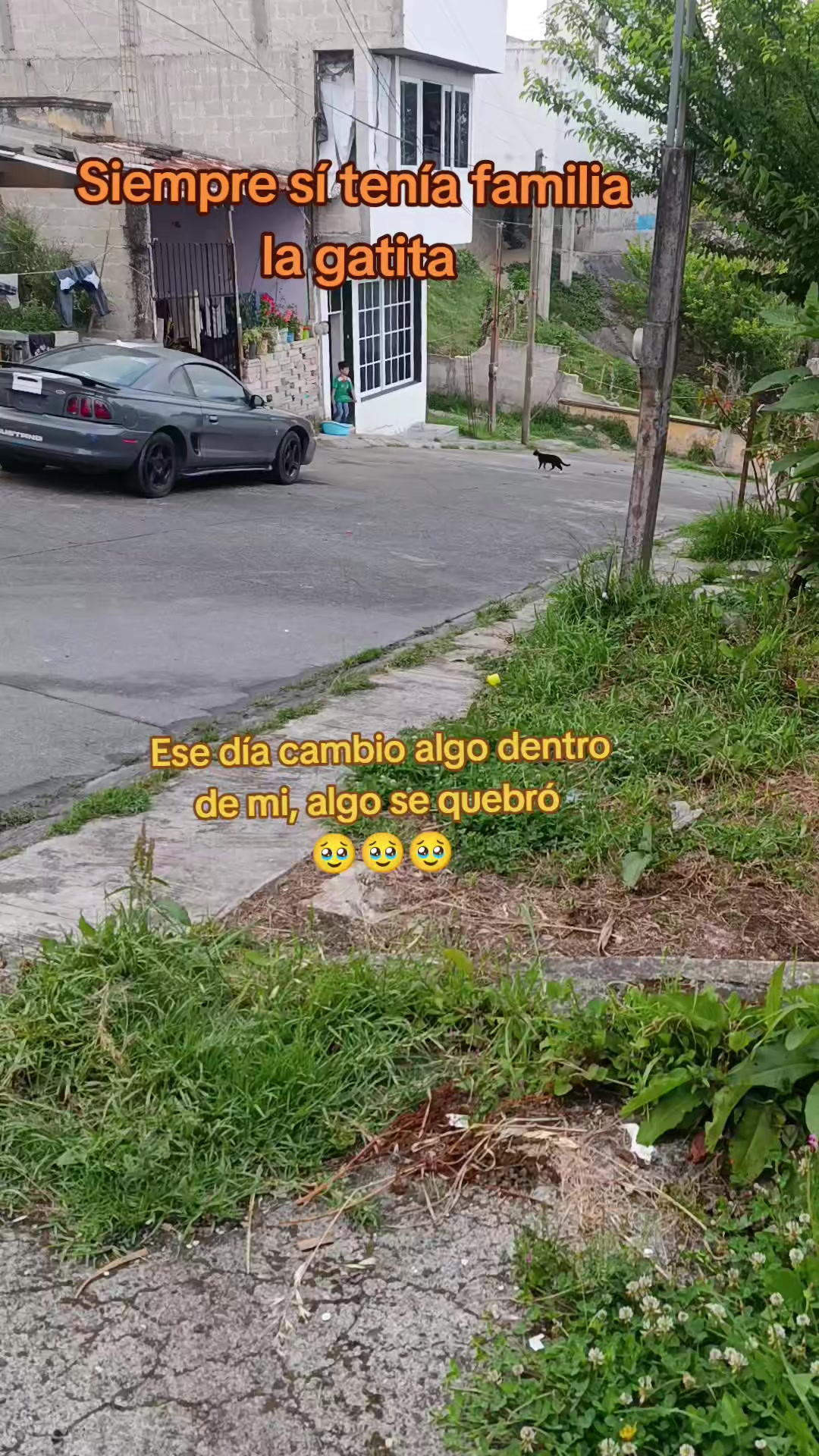 @ArelyHB