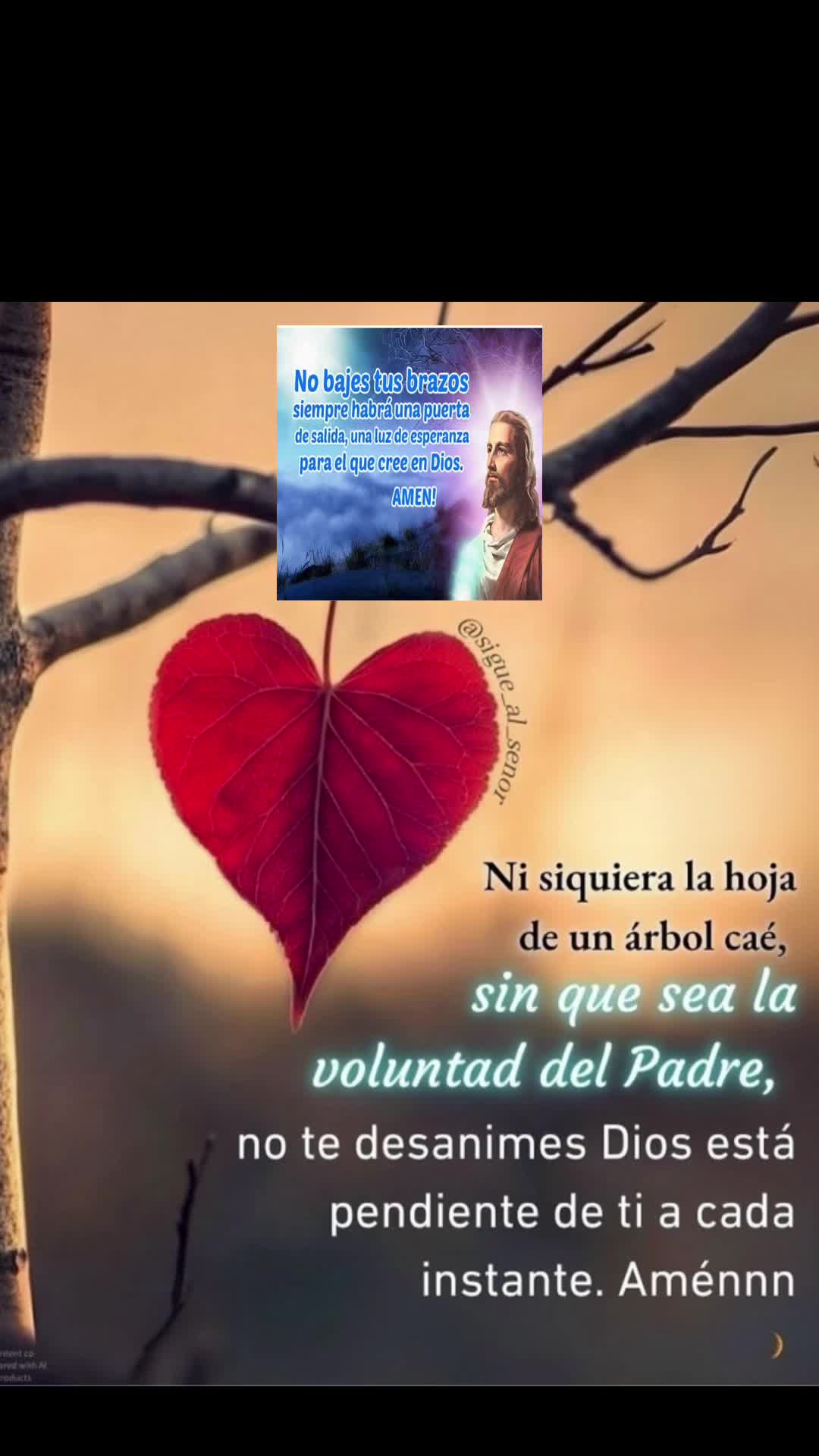 @🎧🎼Rossana Mart&iacute;nez⛪️🕊️