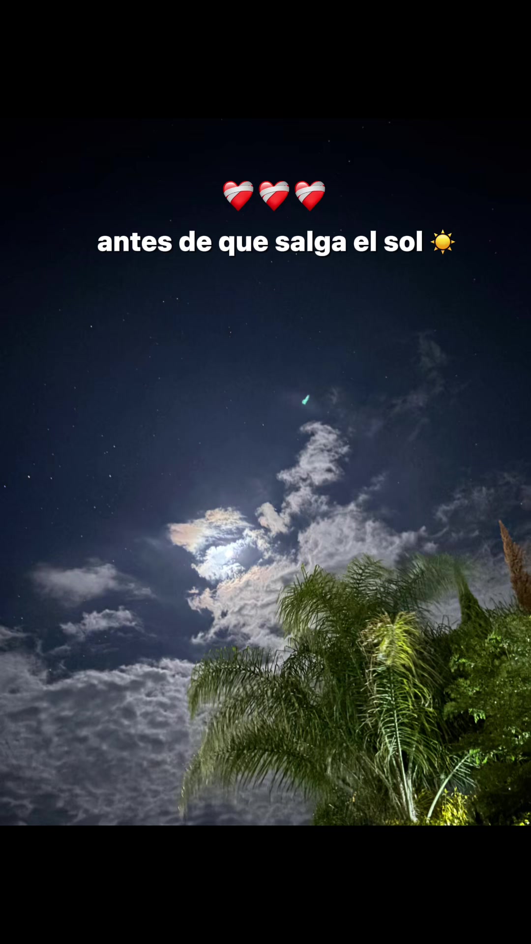 @Celi💕