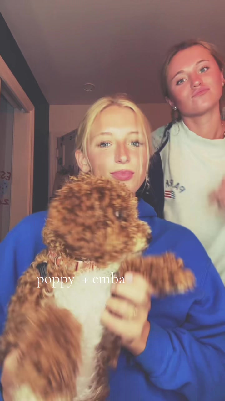 @cici
