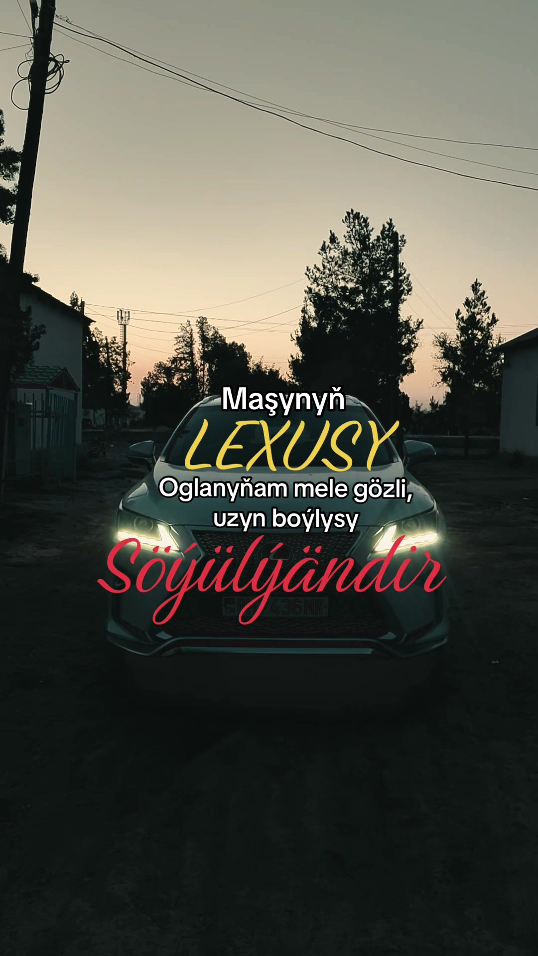 @Amankulyyev