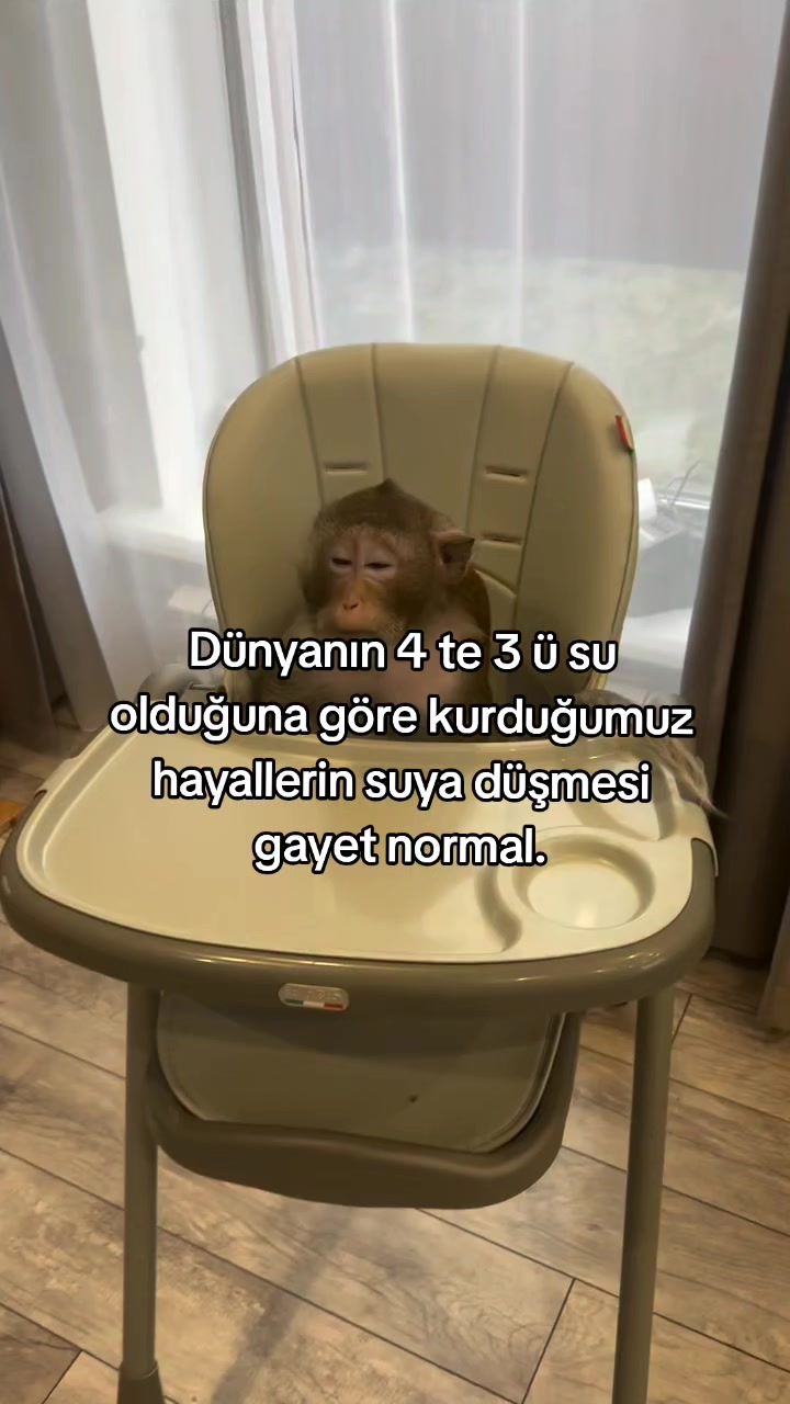 @rolland