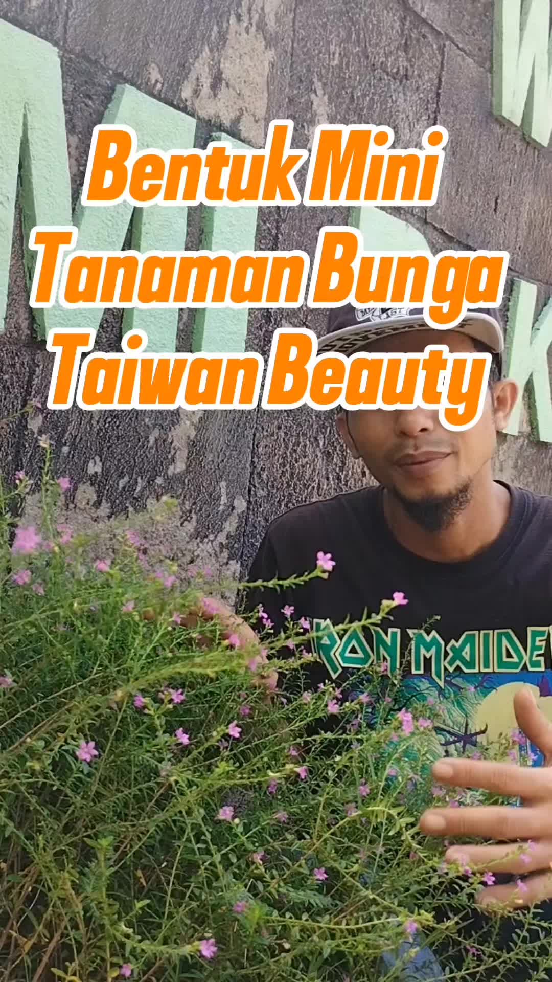 @Bukit Farming