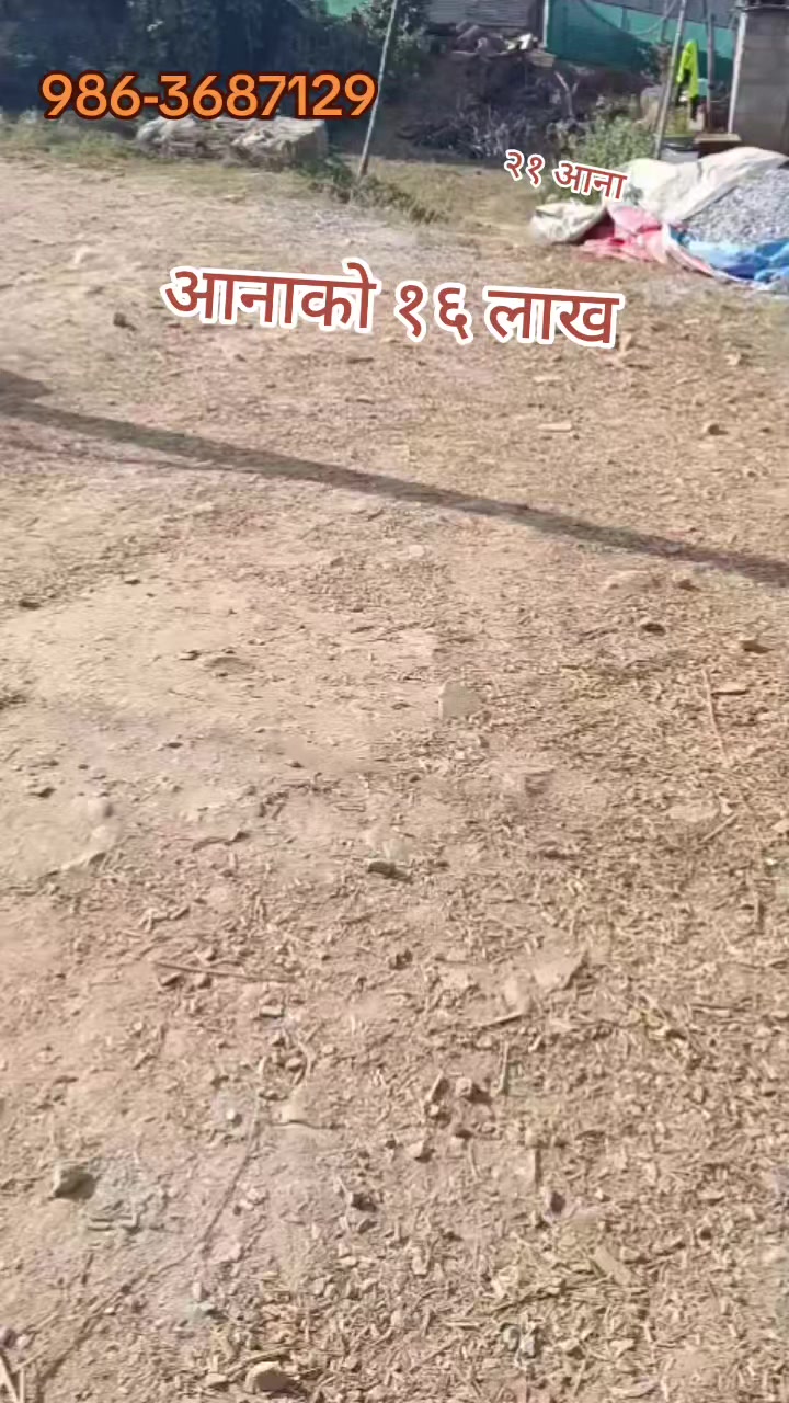 @SuryaRealtyOfficial सुर्यवाइबा
