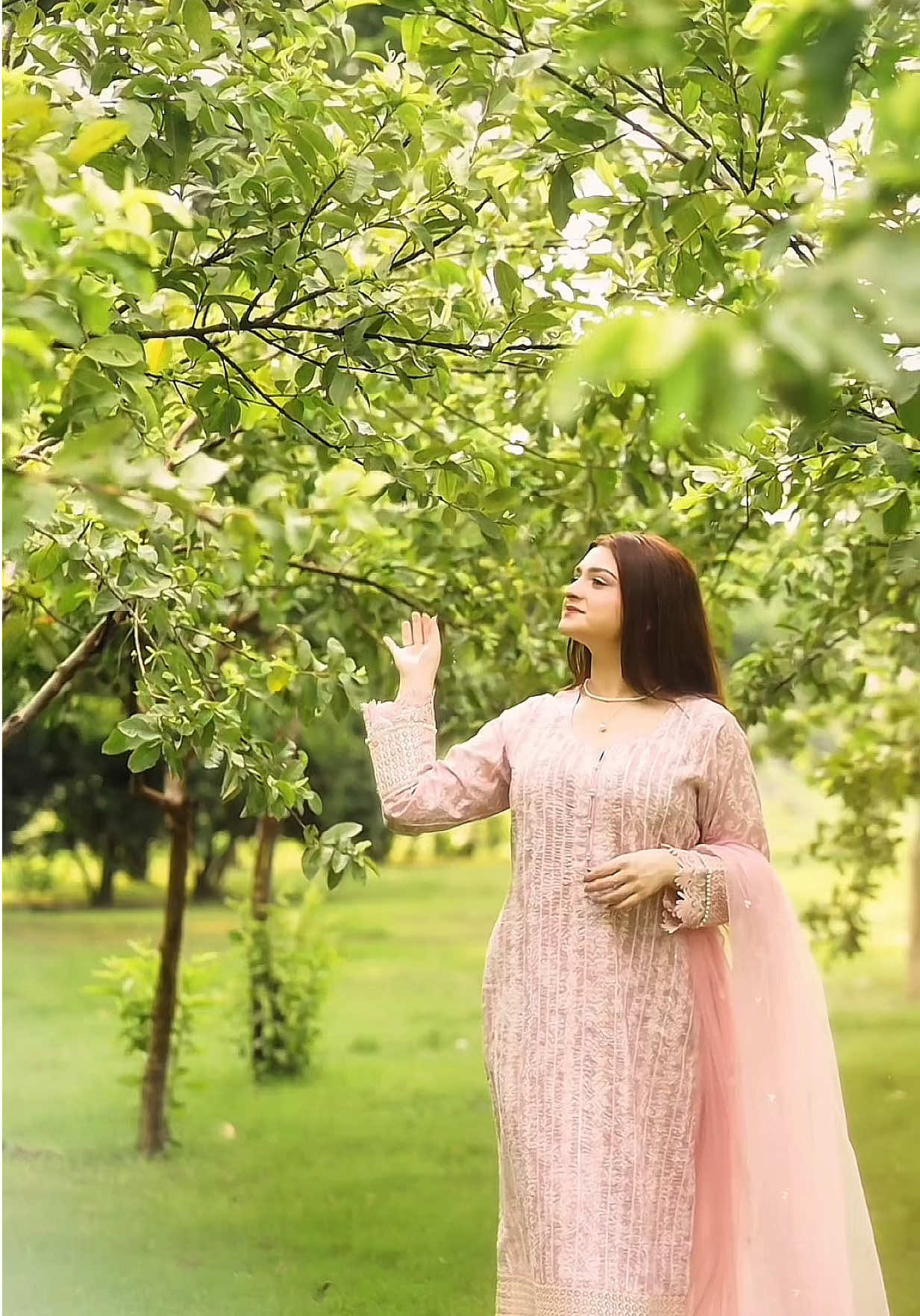 @Hiba Khan