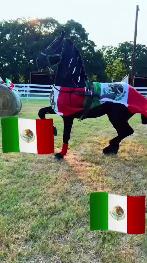 @Cruz Hernandez