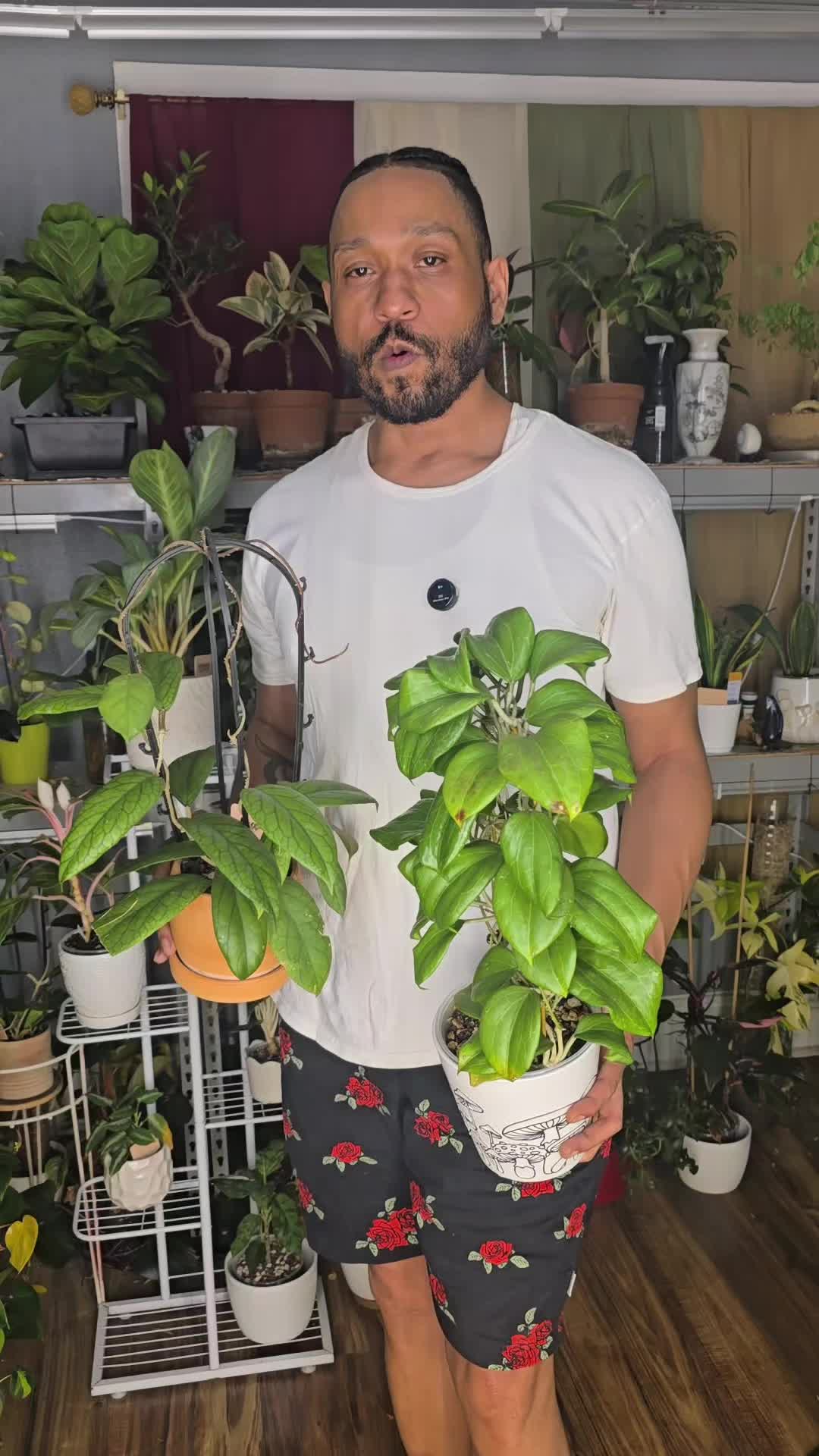 @JT - BigEGOPlants