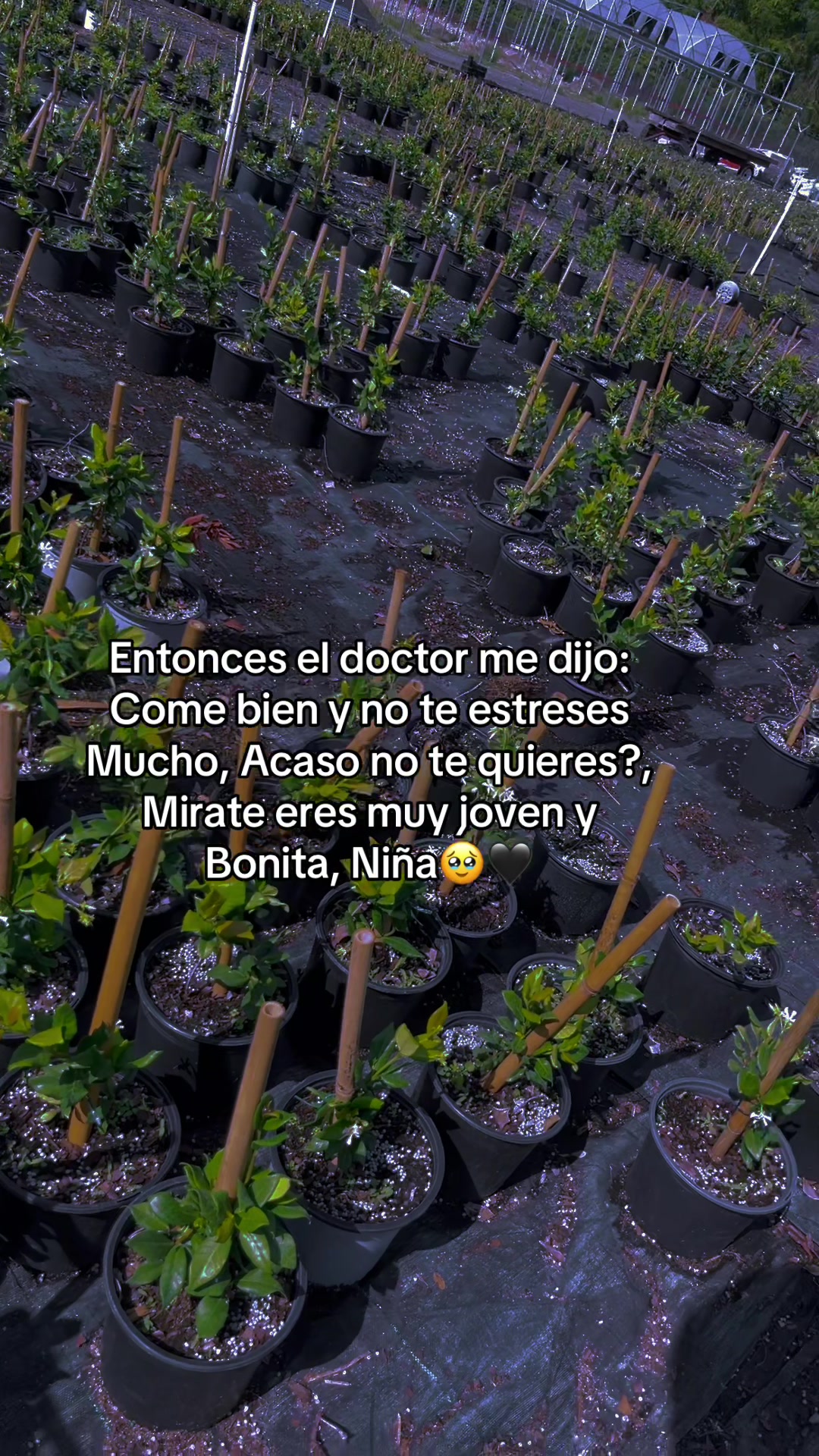@MARI❤️😘😍