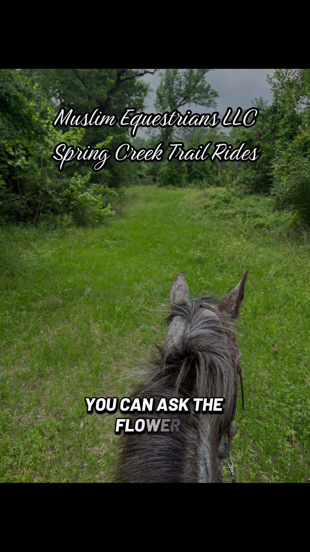 @Muslim Equestrians L.L.C.