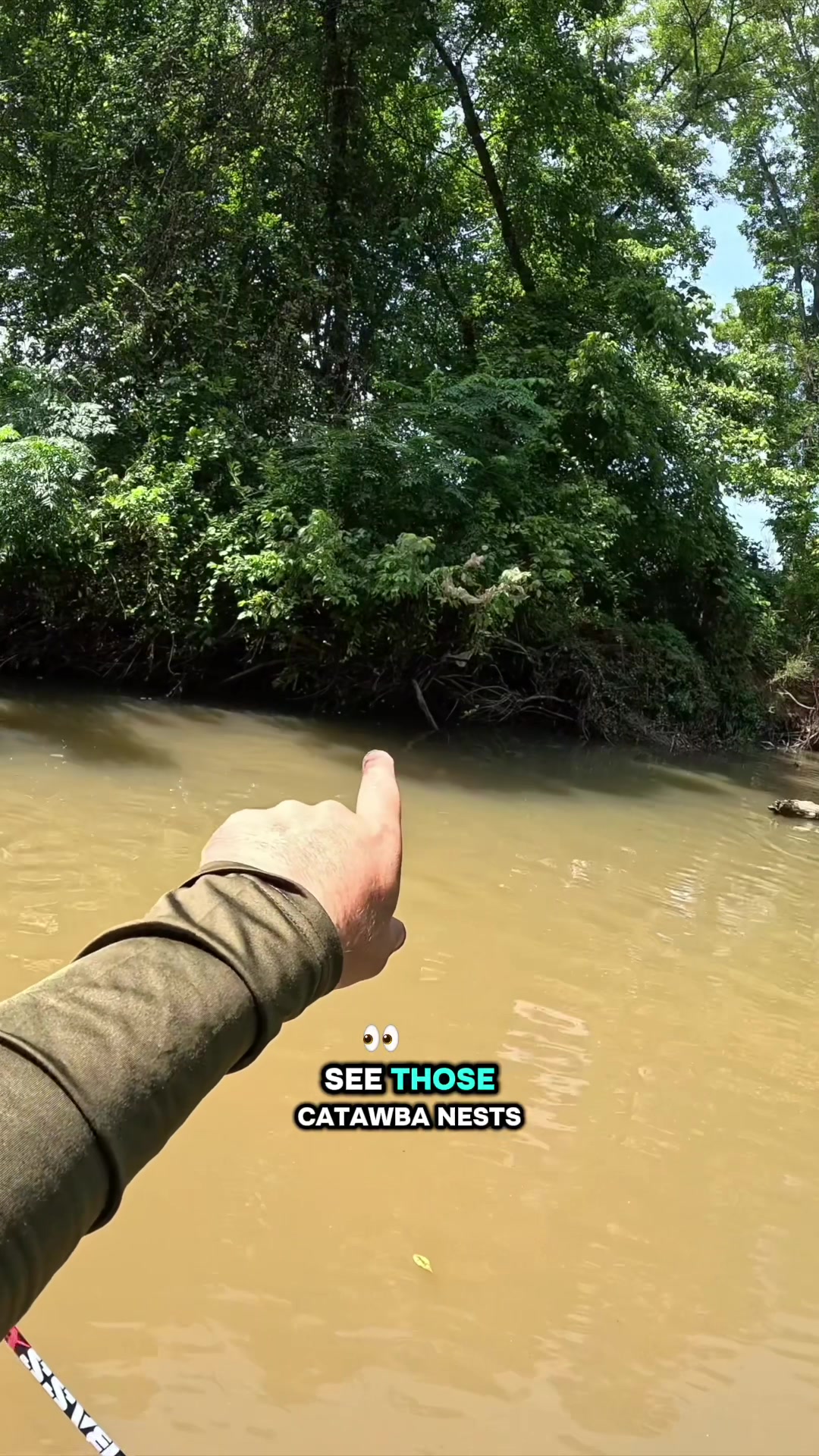 @Creek Seeker Outdoors