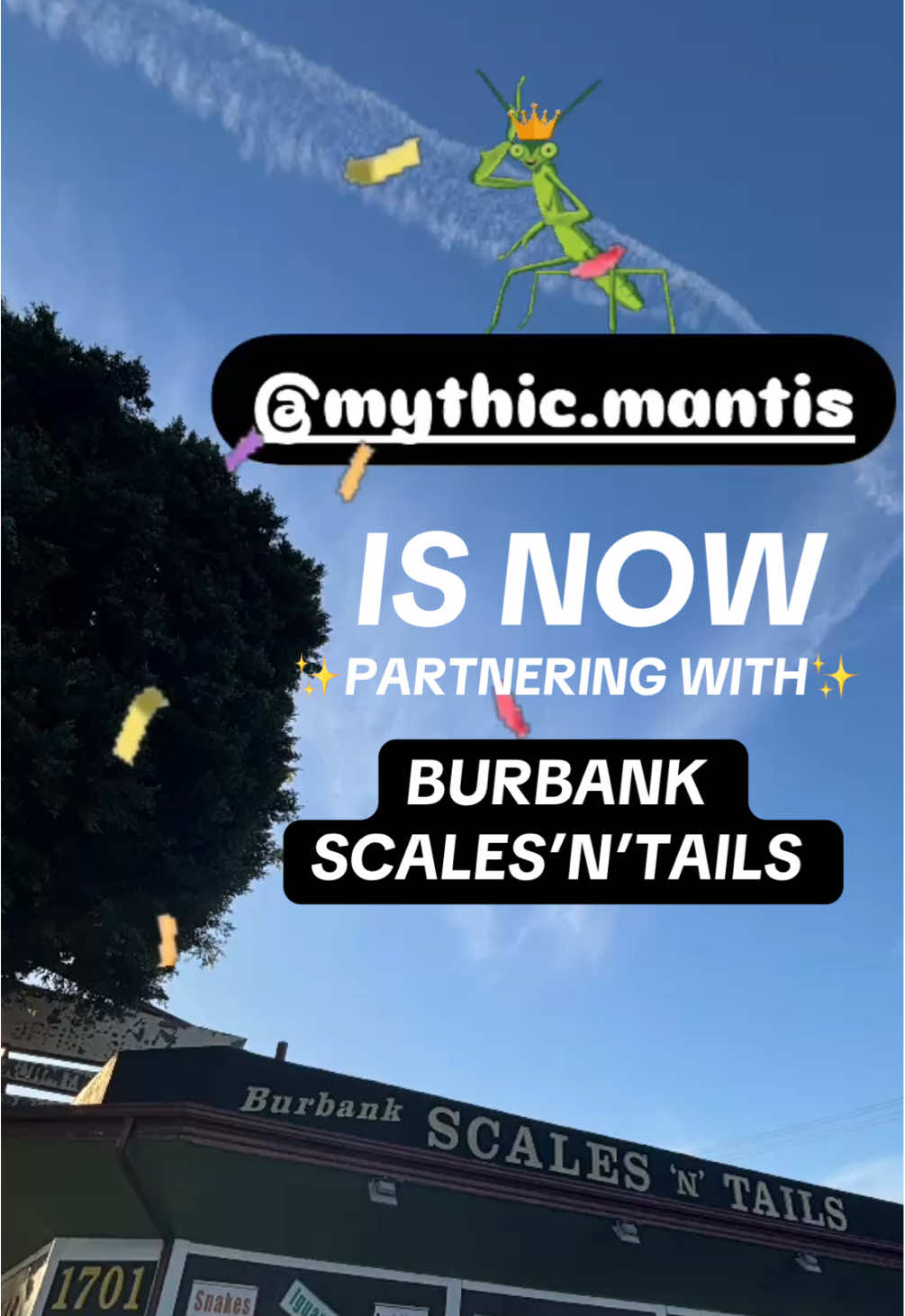 @Mythic Mantis