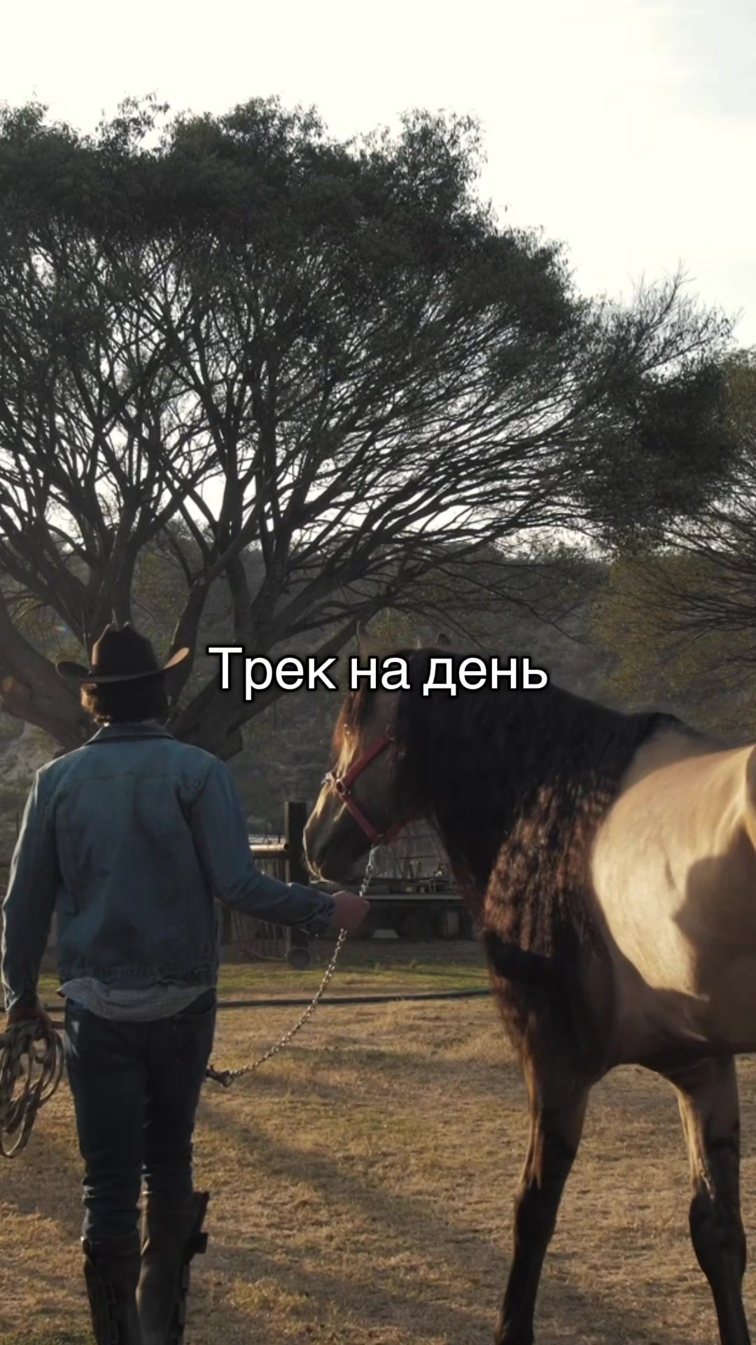 @DeGole