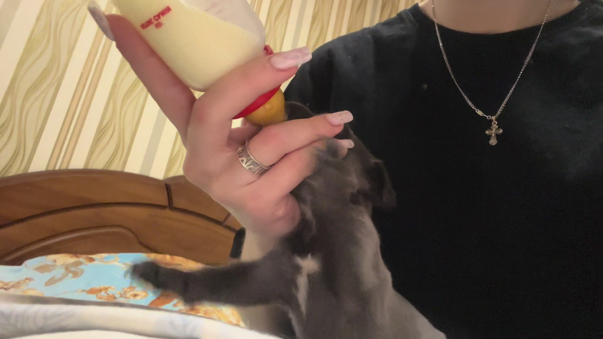 @𝐌𝐀𝐑𝐂𝐈