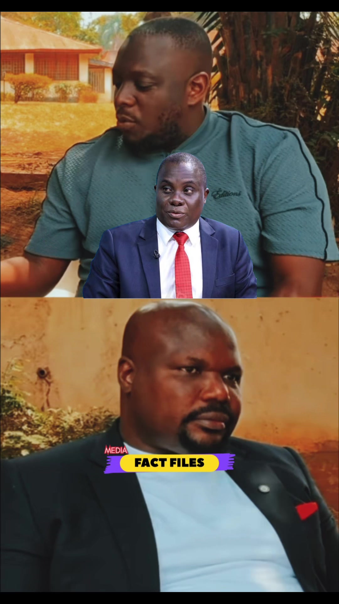 @FactFilesMedia
