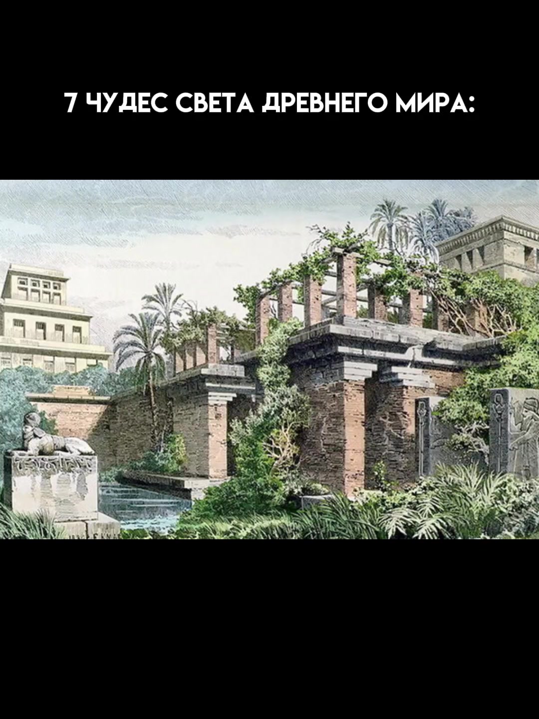 @ëжик
