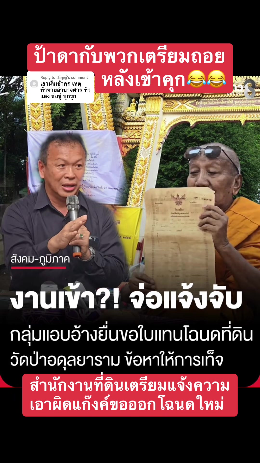 @ทาสแมว_News