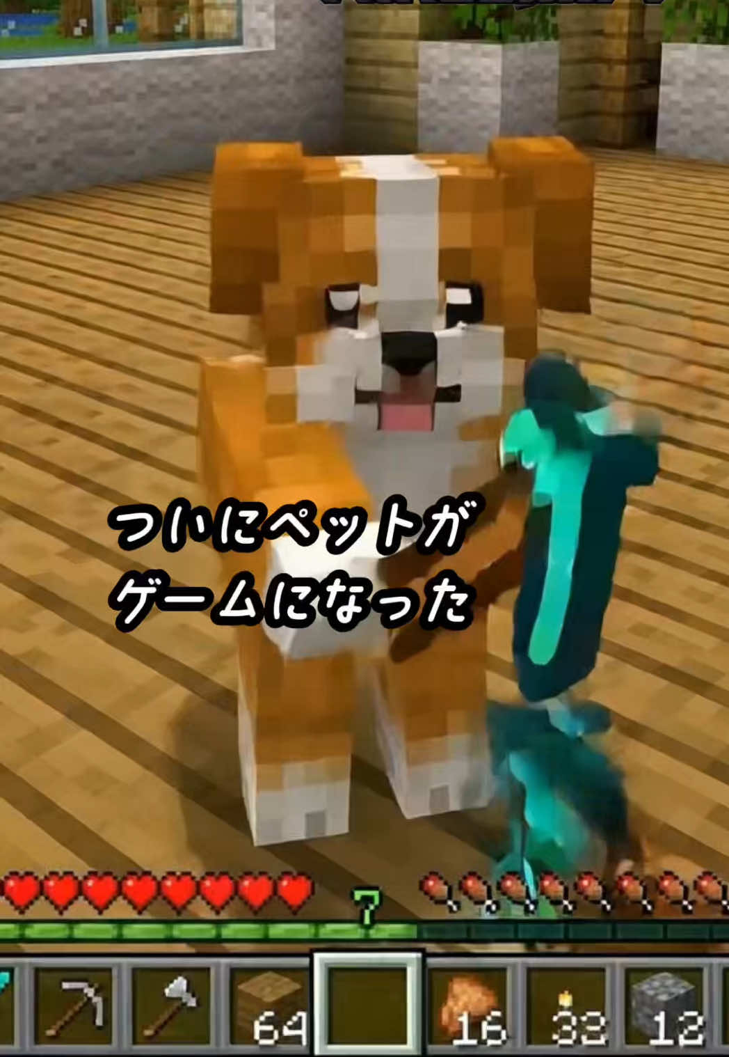 @NICOCO