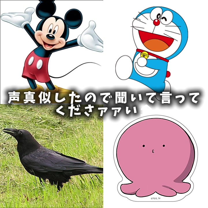 @田中ゴンザレスでやんす
