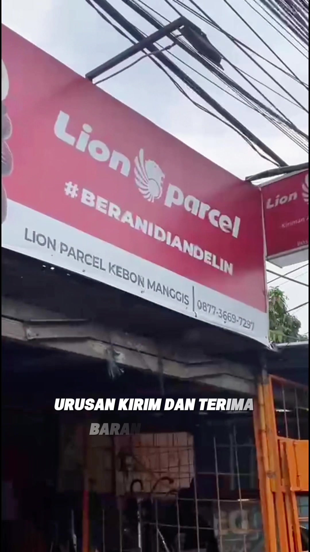 @delldump