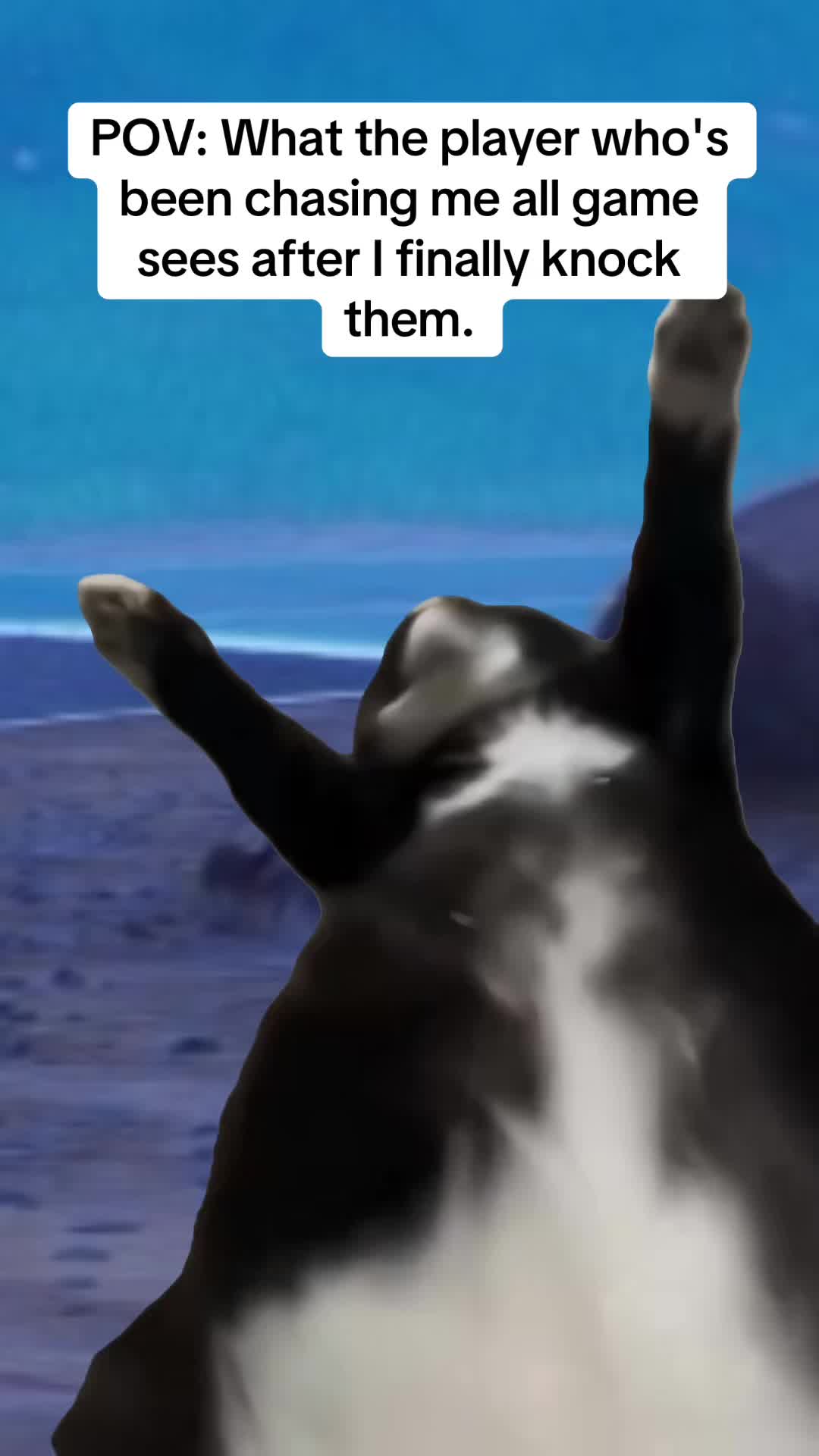 @Martin17music