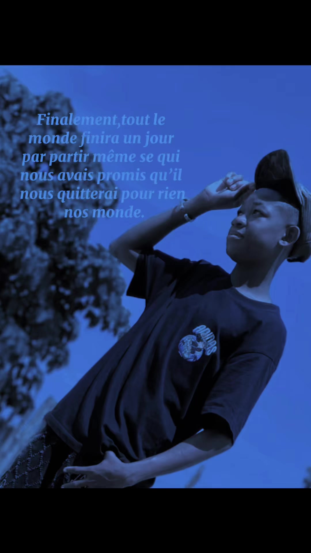 @papillon🦋225