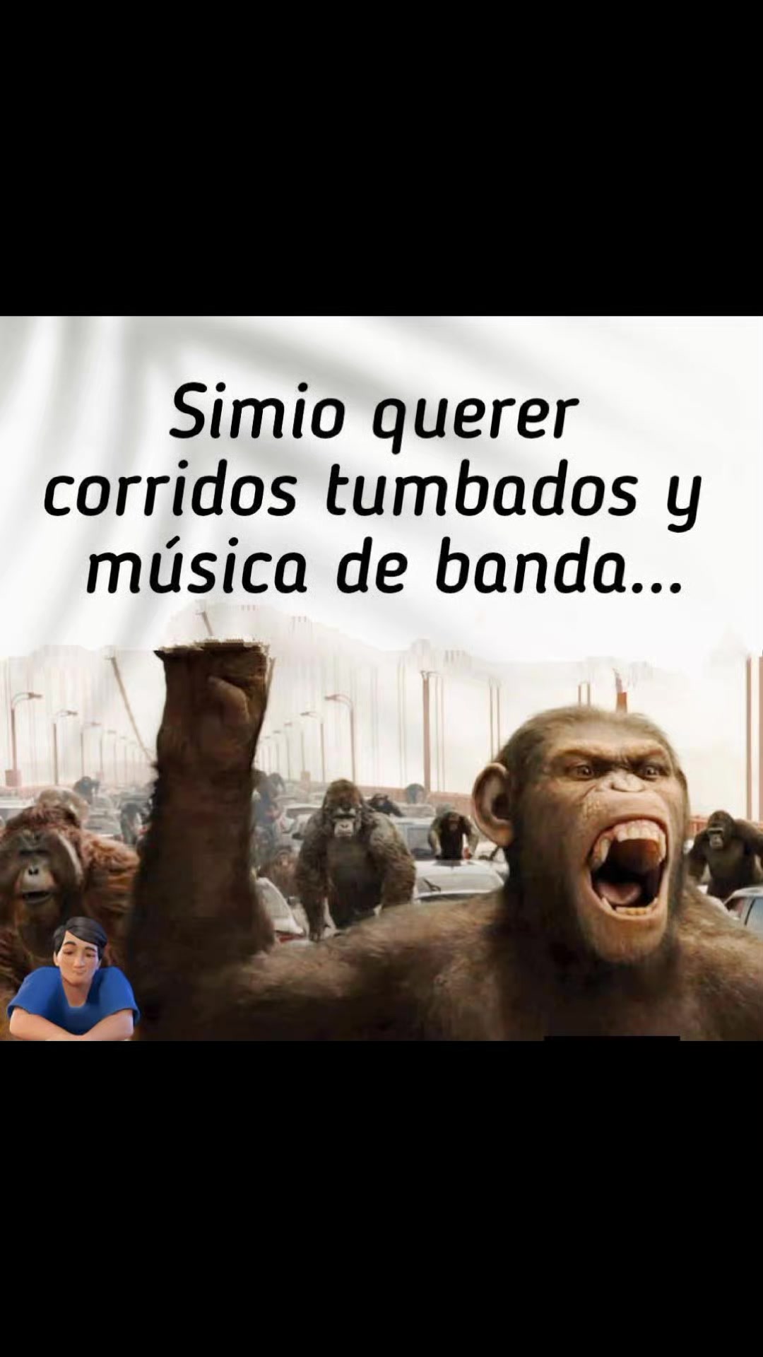 @Gamalielzg 🥁 🇲🇽