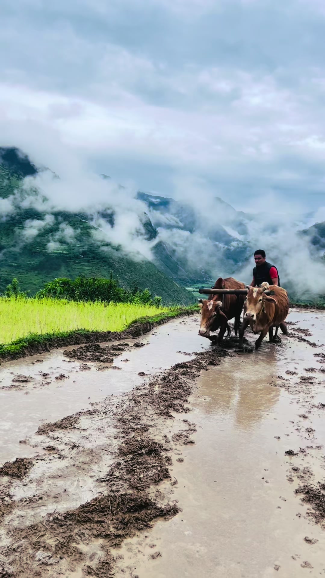 @Parash Khadka ✡️🕉️✨
