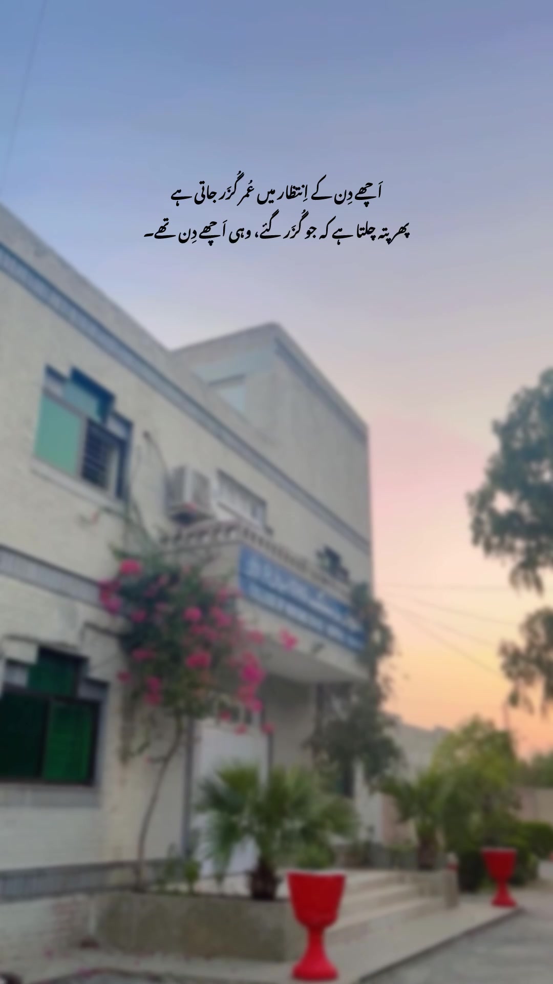 @Laiبa🥀💫