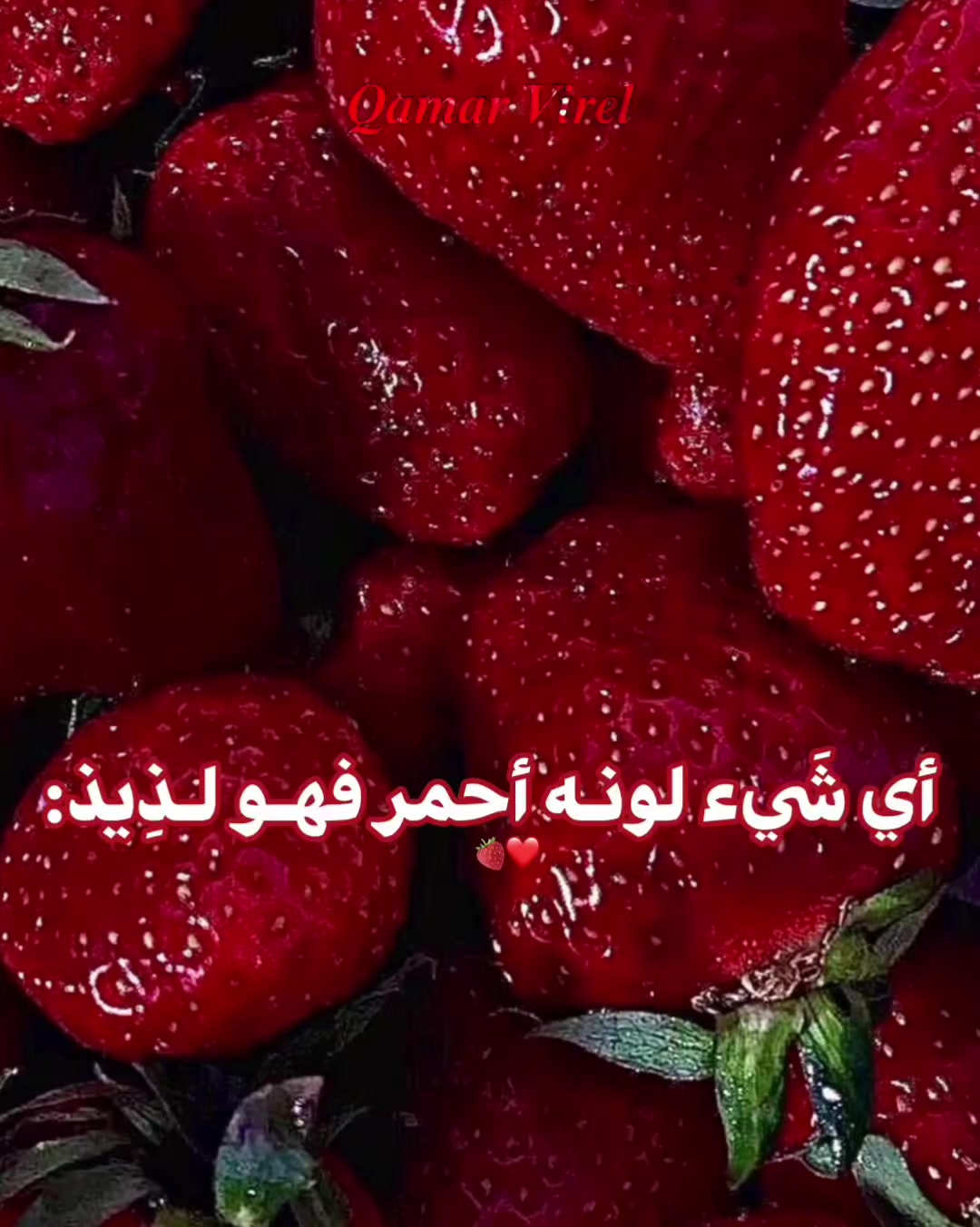 @โ๐ธ๐๐๐๐ ๐ฝ๐๐๐๐ ๐ฉ๐ฟโ