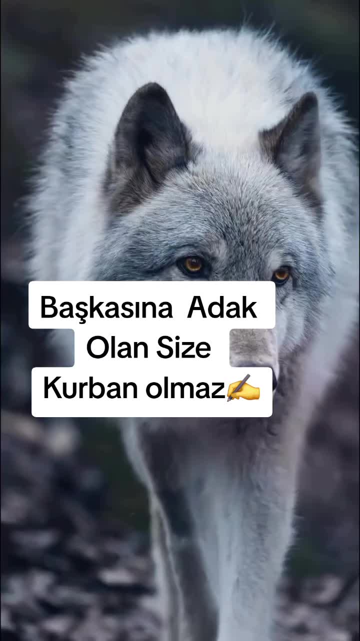 @๐๐๐๐๐ ๐๐๐๐ ๐๐๐๐น๐ท