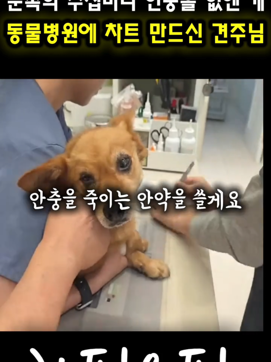 @하필유필