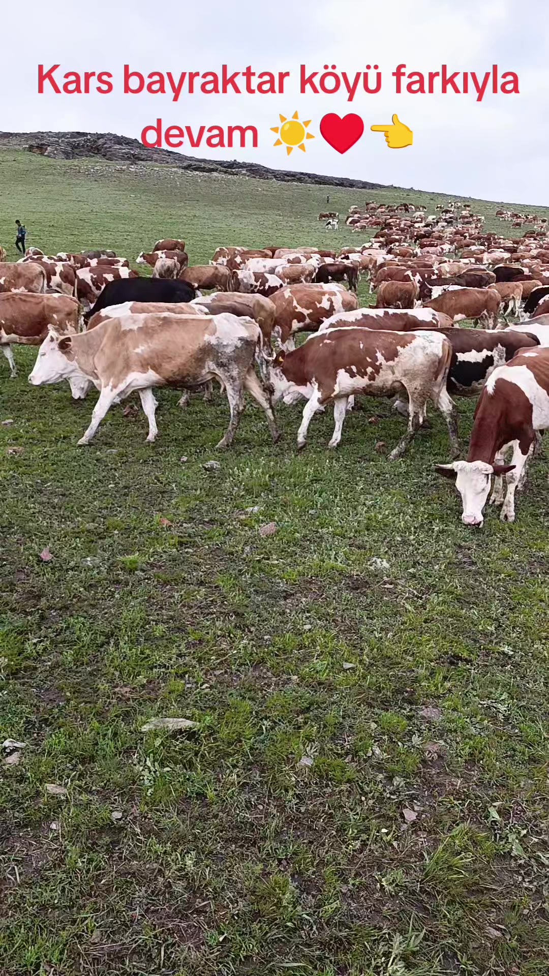 @FERHAT ÇUKU 76☀️