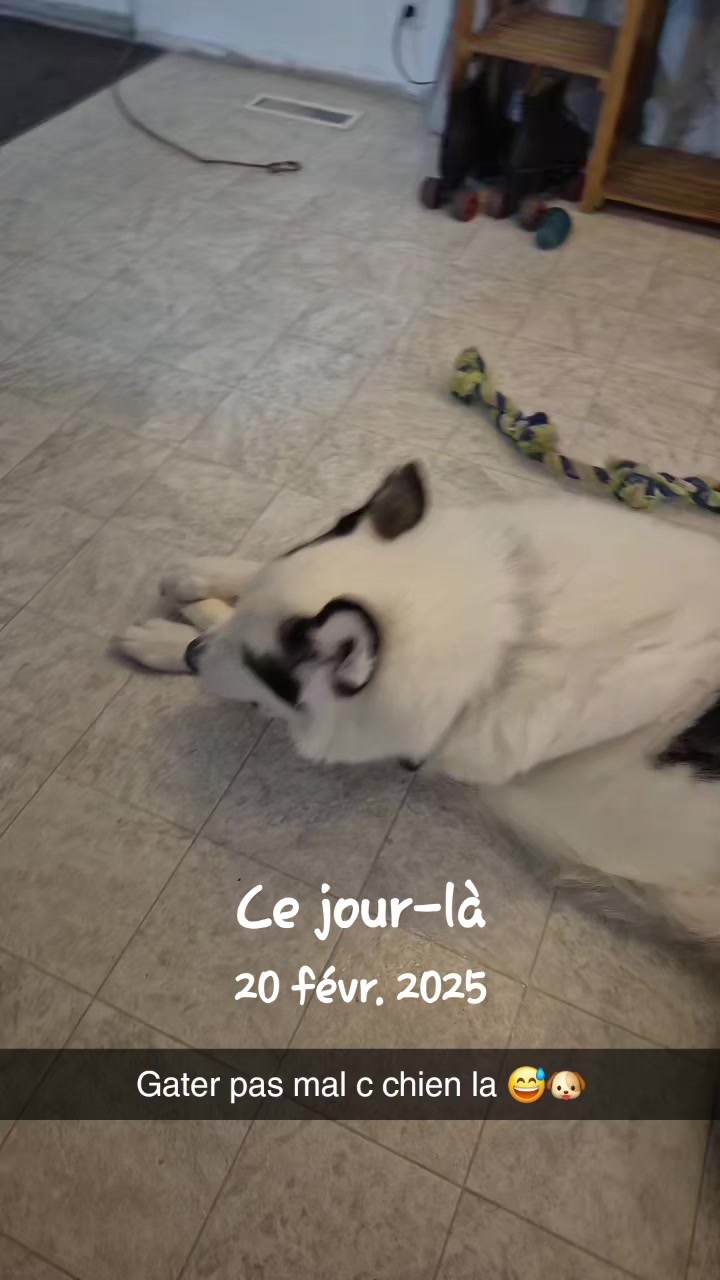 @LaFilleDiff&eacute;rente💛