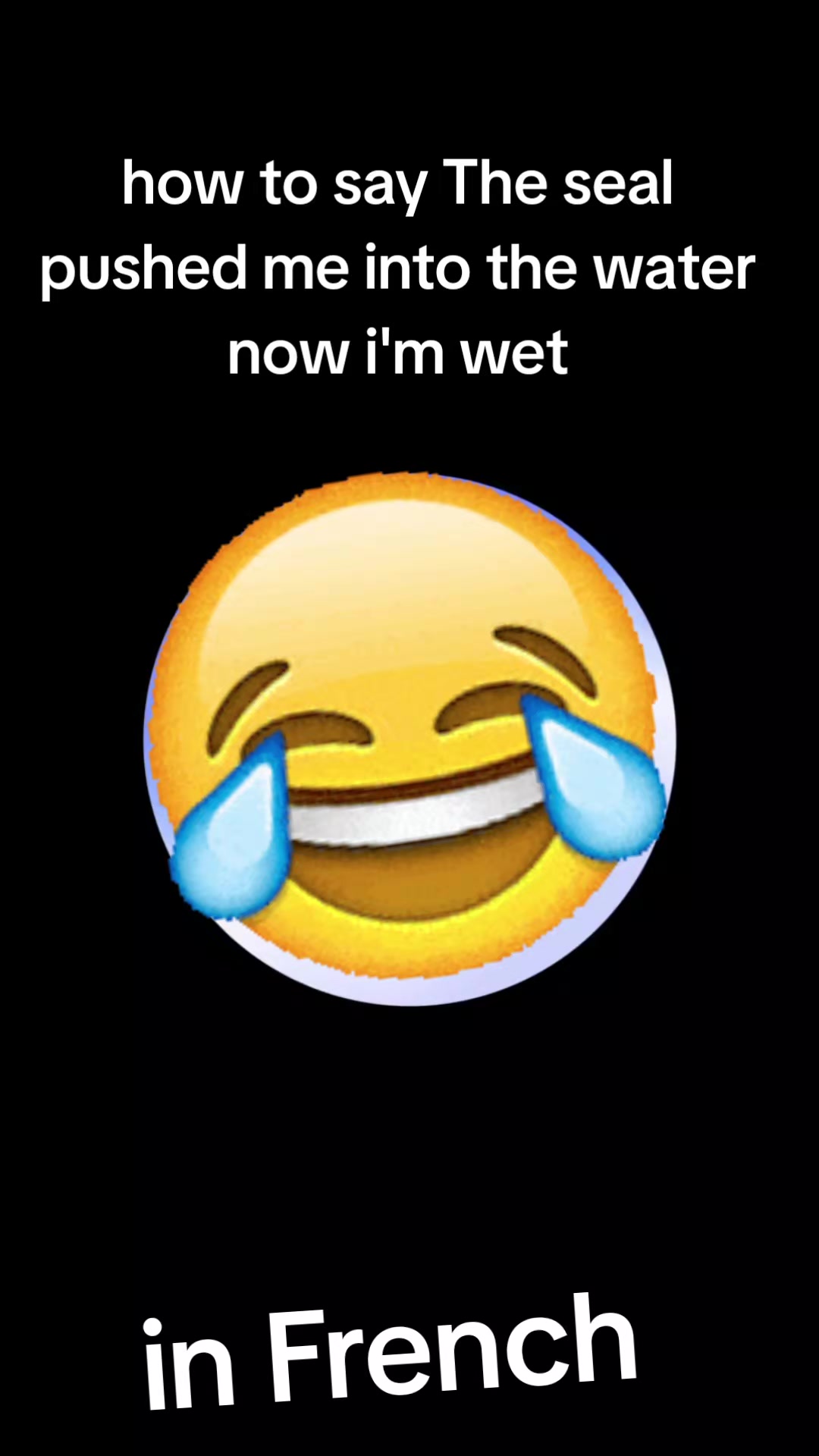 @ZenithSystem
