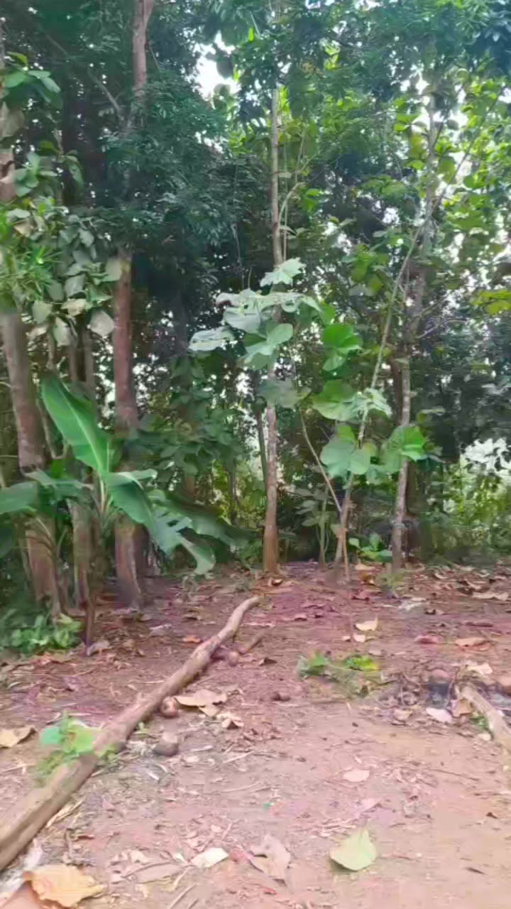 @Aaigo