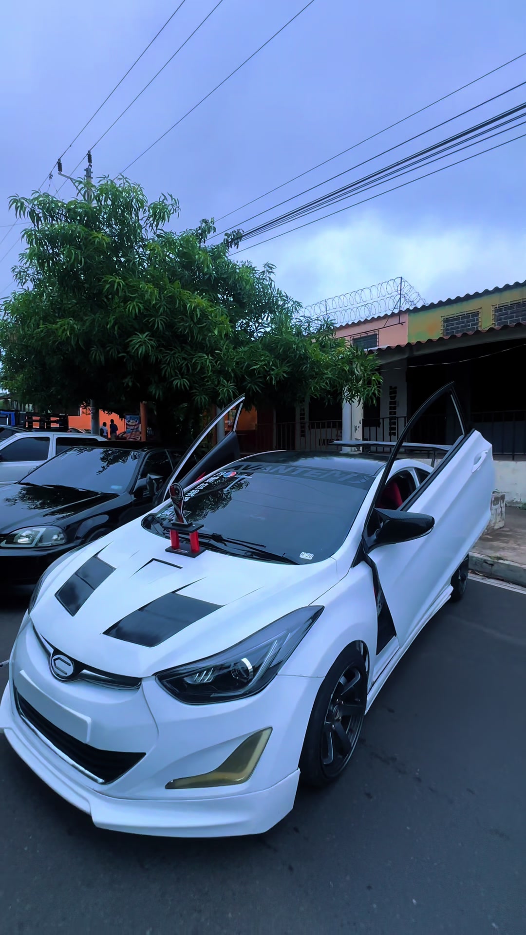 @Avante Lambo