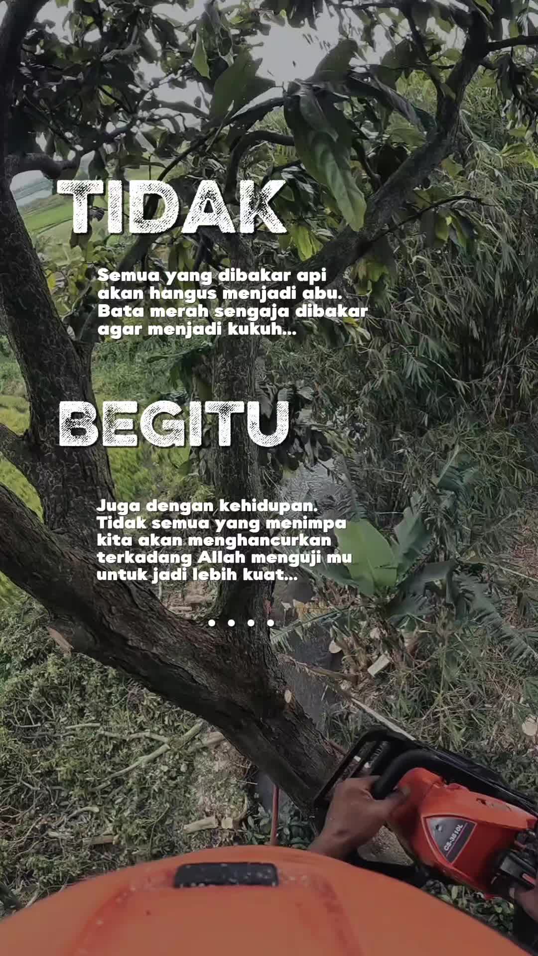 @Warkah Kehidupan