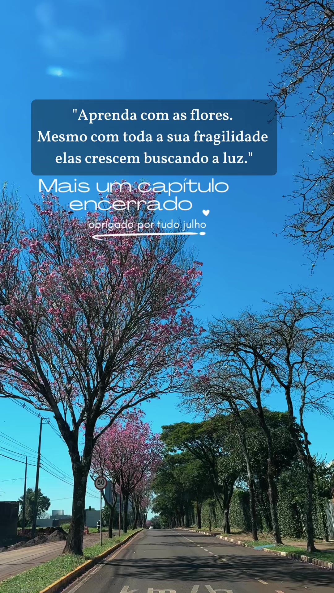 @Maria Filha