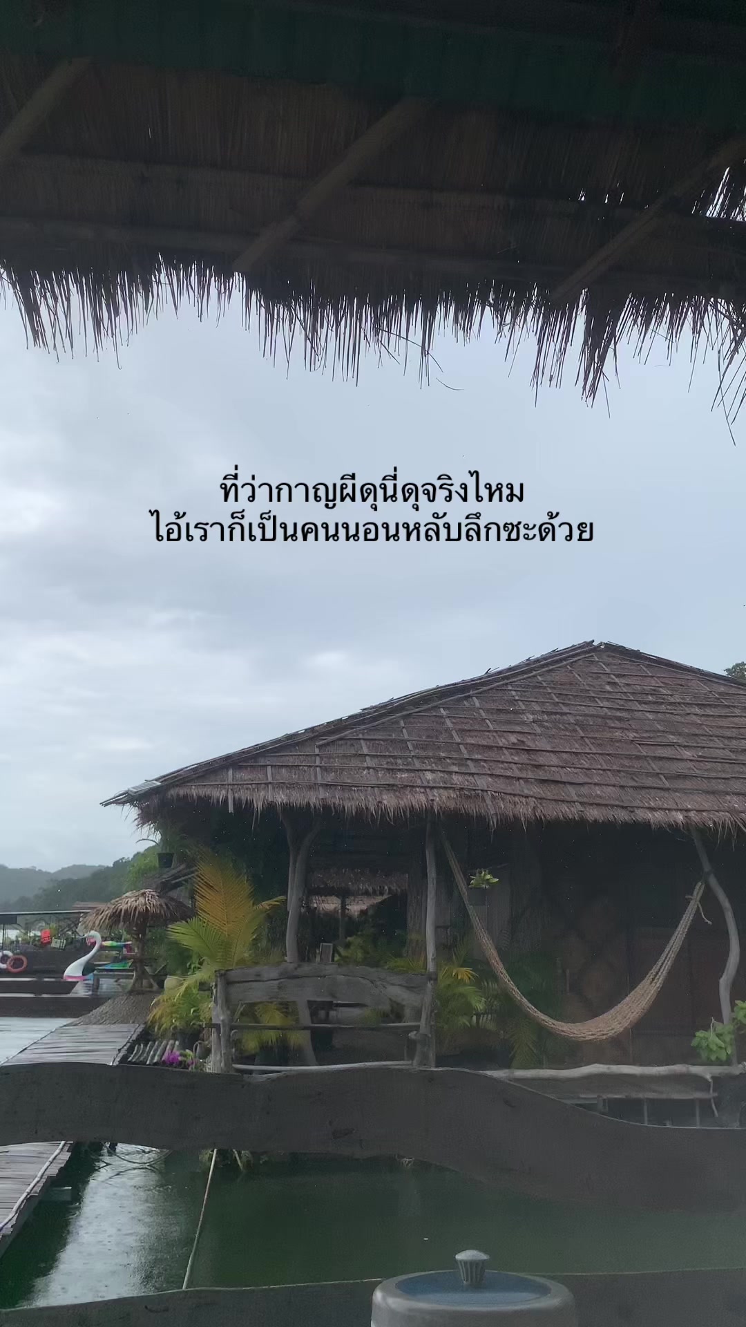 @🏕️แมดอายย📽️