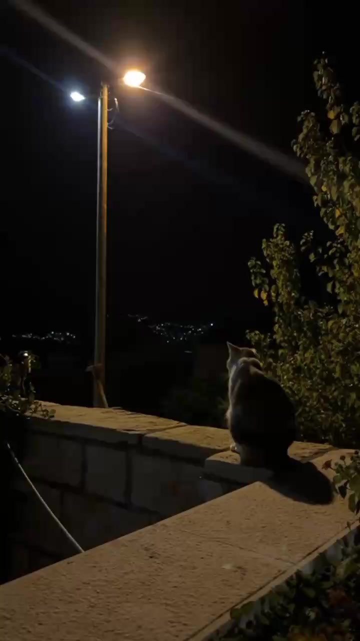 @𝐒ᡣ𐭩࣪⋆