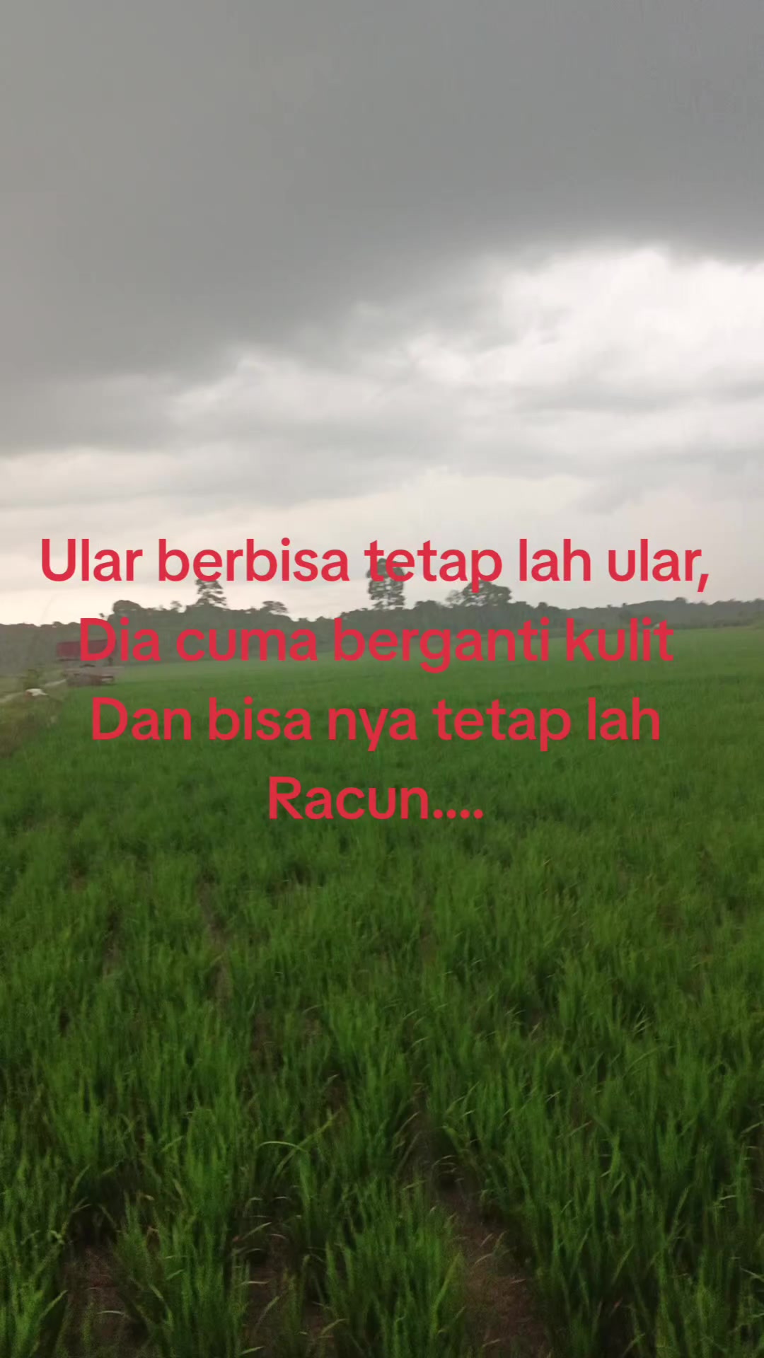 @aji Iswan  🎟️