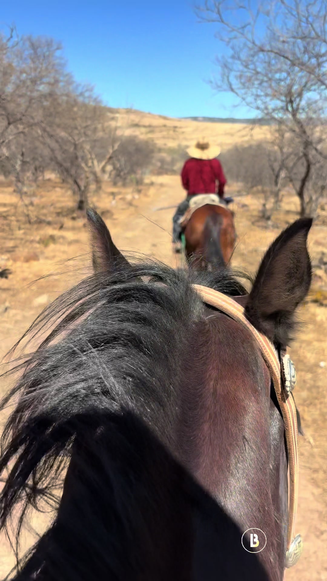 @El zurdo🌵🐴